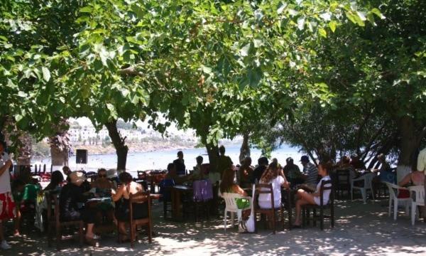 Meteor Beach Hotel ทูร์กุทริส ภายนอก รูปภาพ